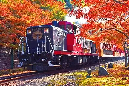 Japan By Rail In Autumn