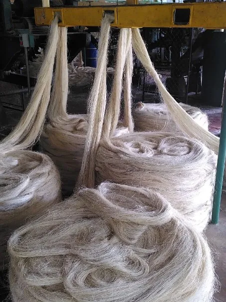 Mexican Rail Spectacular