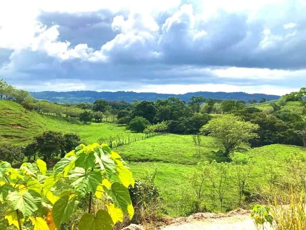 Mexican Rail Spectacular