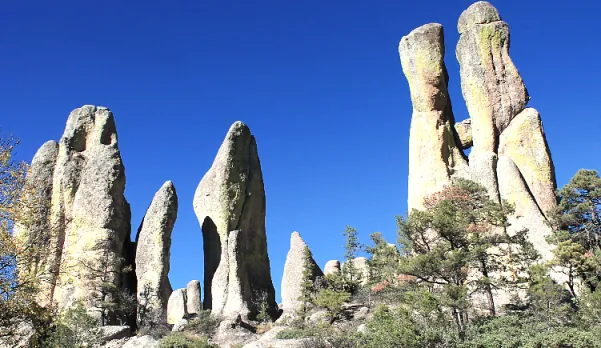 Mexican Rail Spectacular