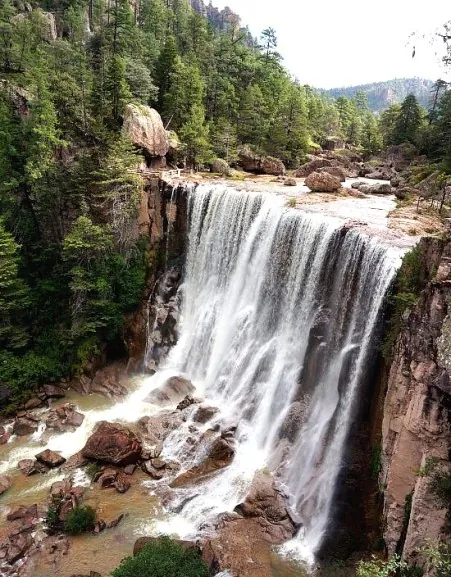 Mexican Rail Spectacular