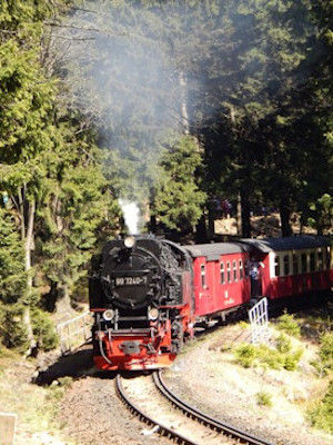 Steam In The Harz Mountains
